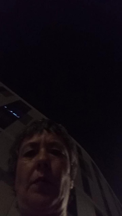 Catylandi1 Live Image