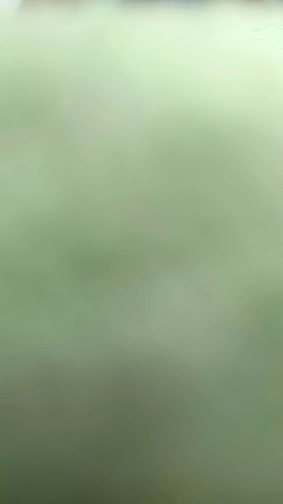 Djosue060 Live Image