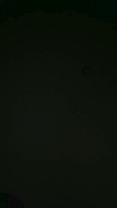 Hairy_Wookiee Live Image
