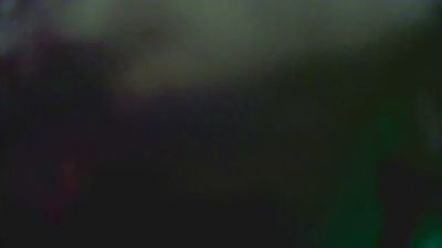 Loyalsissie Live Image