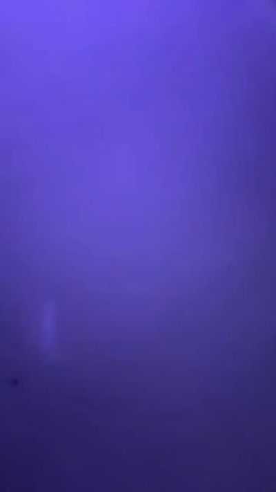 LunaNova444 Live Image