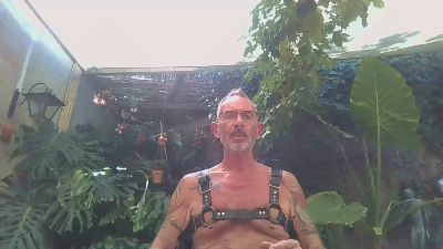 davidbruno68 Live Image