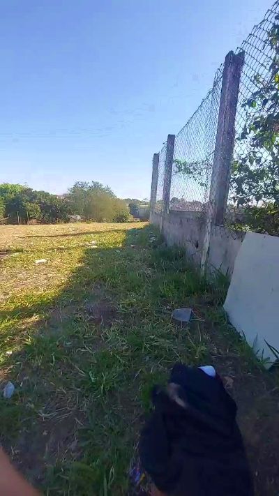 jao_magrao Live Image