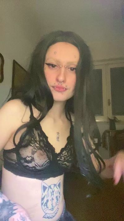 kittita1 Live Image