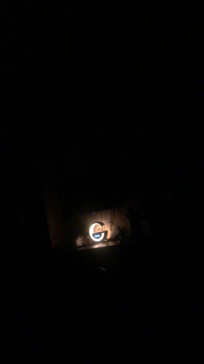 ordog Live Image