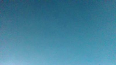 BIRDY1383 live from France