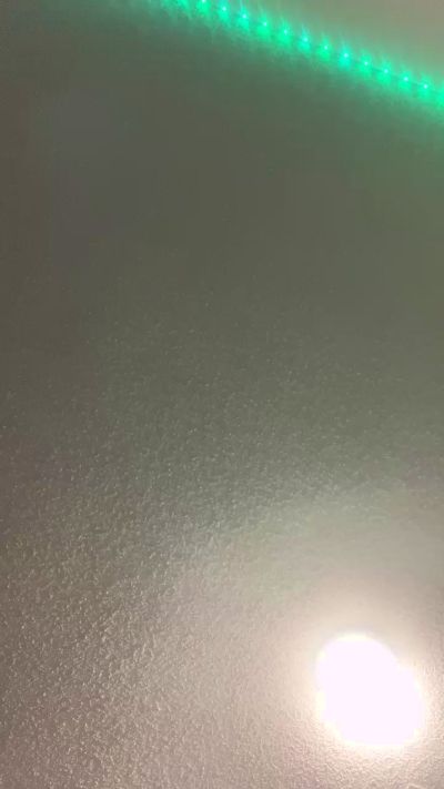 Buzz_Bunni_Bit live from United States