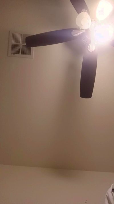 Littleboydelia live from United States