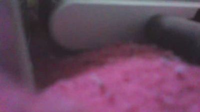 andres_simpson live from United States