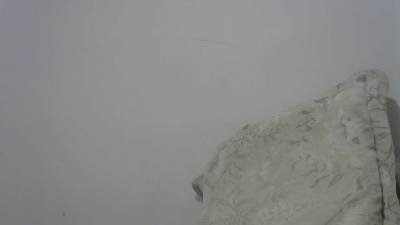 gutozam live from Brazil