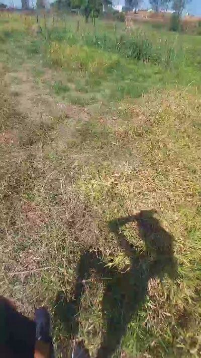 jao_magrao live from Brazil