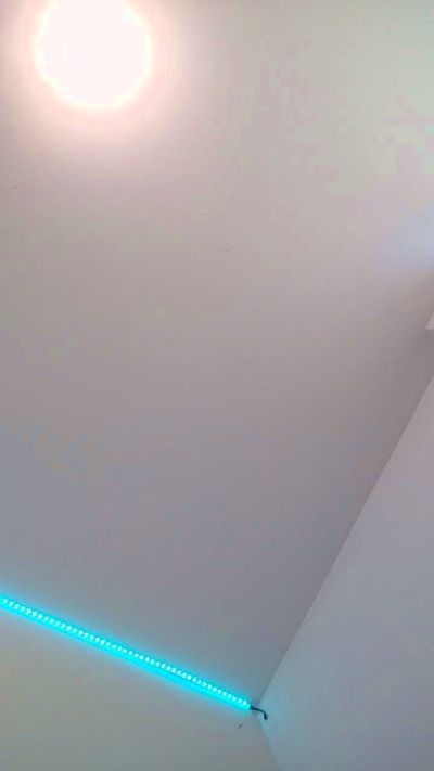 skarlett8_foxy live from Italy